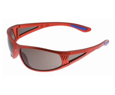 Picture of VisionSafe -289MTRDSD - Smoke Hard Coat Safety Glasses